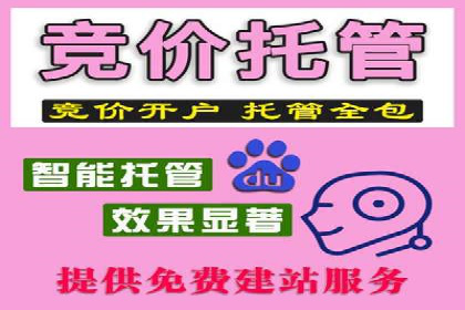 SEM竞价优化技巧：案例解析提升广告投放效果